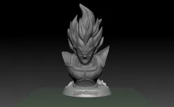 BUSTE VEGETA