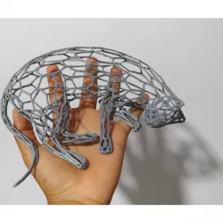 cat lying cat sleeping voronoi