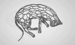 cat voronoi - Lying - Sleeping