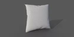 Cushion