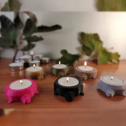 cute turtle with a candle on his back