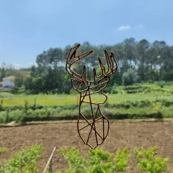 deer