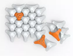 Expansion Giraffa a voronoi tile