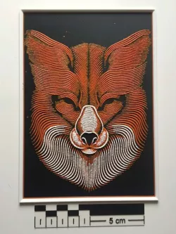 Fox Face - Patrick Seymour