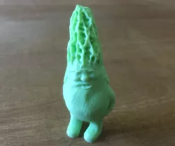 Gnomeshroom