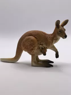 Kangaroo