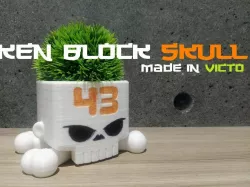 KenBlockSkull
