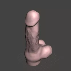My Scanned Penis