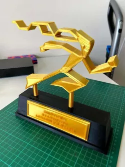N+ trophy