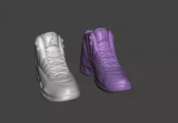 NIKE AIR JORDAN 12 SNEAKERS LEFT AND RIGHT .OBJ .STL