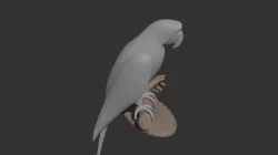 Parrot