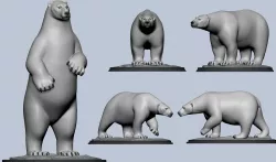 Polar Bear