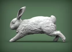 Rabbit 3D print model