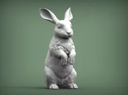 Rabbit 3D print model