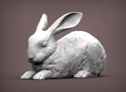 Rabbit 3D print model