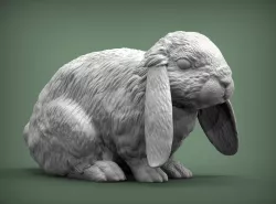 Rabbit American Fuzzy Fop 3D print model