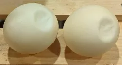 Sea Turtle Egg
