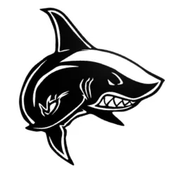 Shark wall decor 2