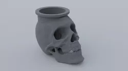 Skull shaped container