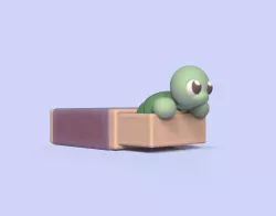 Turtle Matchbox
