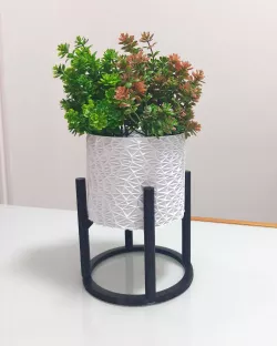 Vase Cachepot Succulents Plant Bob