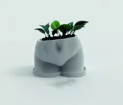 Woman Butt Planter 3D Print Stl File 3D Print Planter Model
