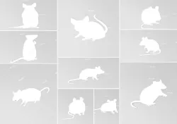 10 Mouse Silhouette STLs, Rat Outline, Mice Stencils, 2D Wall Art, Halloween
