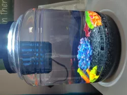 3 gallon fish tank aquarium for under $5