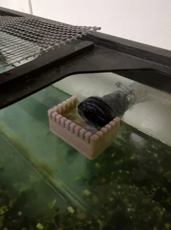 Aquarium Overflow