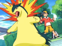 articulated typhlosion pokemon