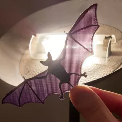 !!! Bat!!!