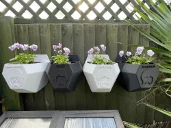 Beatles Wall Planter Pot Container Storage