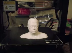 Bust print of myself