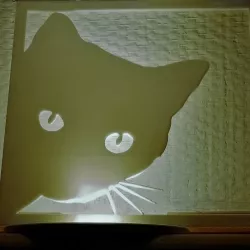 Cat in the window