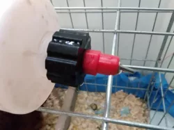 chicken nipple pet bottle adapter