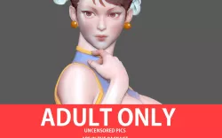 CHUNLI STREETFIGHTER SEXY NAKED NUDE HENTAI NFSW GIRL 3D PRINT