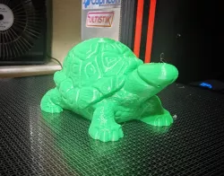 cockurtle