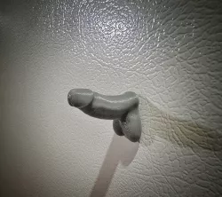 Dick with balls Fridge Magnet