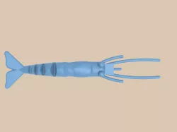 Fishing Lure and Mold 5 3D model Shrimp