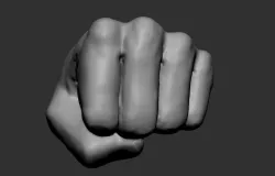 Fist Model 3D model
