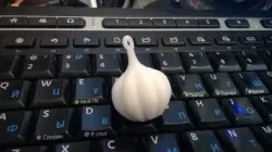 garlic