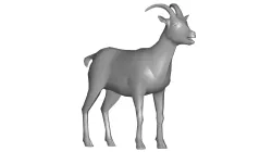 goat 3d model