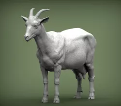 Goat 3D print model