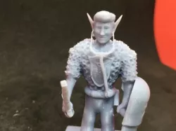 High Elf Paladin Doctor