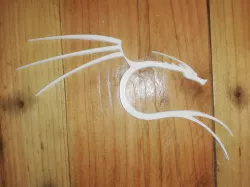 Kali linux logo