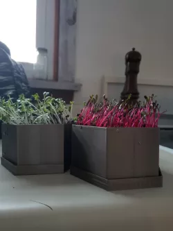 Microgreen Planter