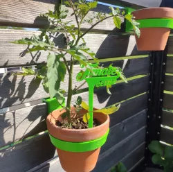 plant pot holder