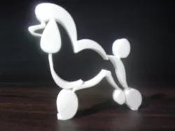 Poodle