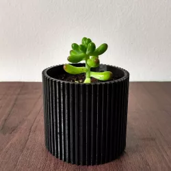 Pot #1