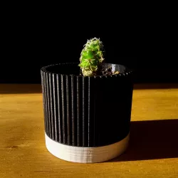 Pot #2